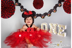 mickey-mouse-theme-pictures-05