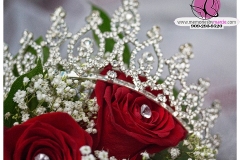 la-puente-quinceanera-02