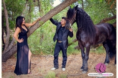 riverside-wedding-arabian-horse-04