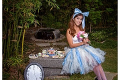alice-in-wonderland-07