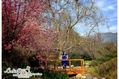 arboretum-maternity-session-05